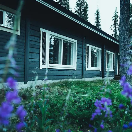 Деревянный коттедж Visanto *